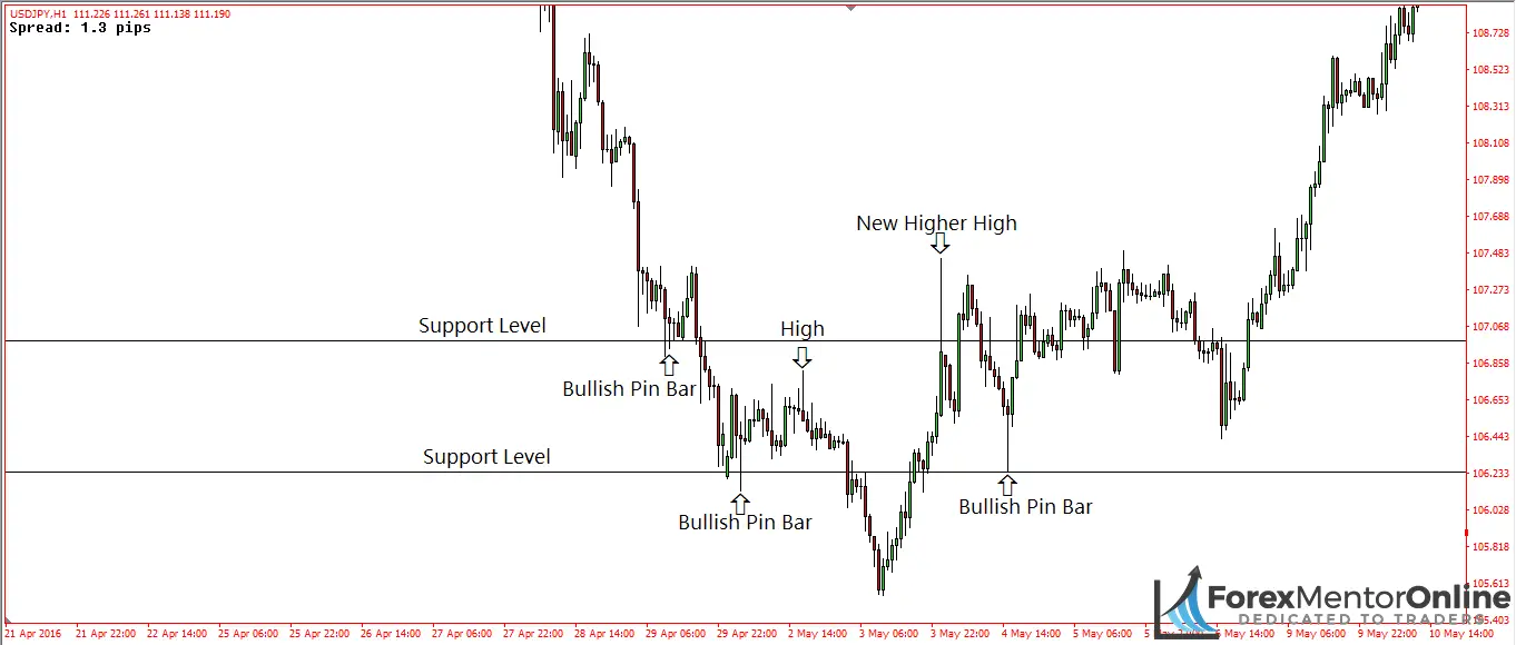 image of bullish pin bars forming at support levels 